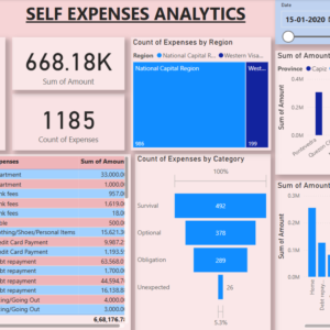 Self expanses Analytics